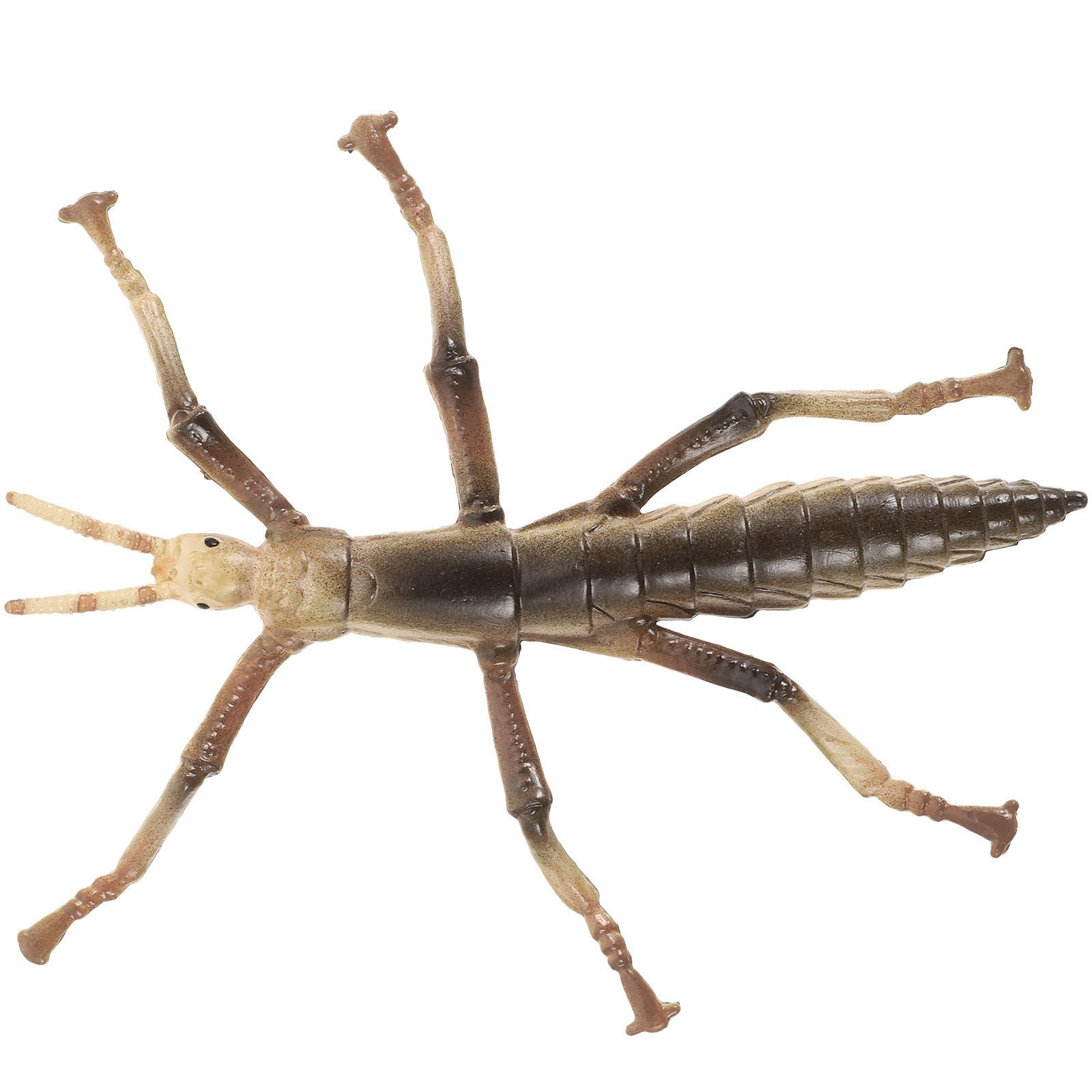 Sturdy Plastic Stick Insect fo - Kids Education Activities 评论和价格